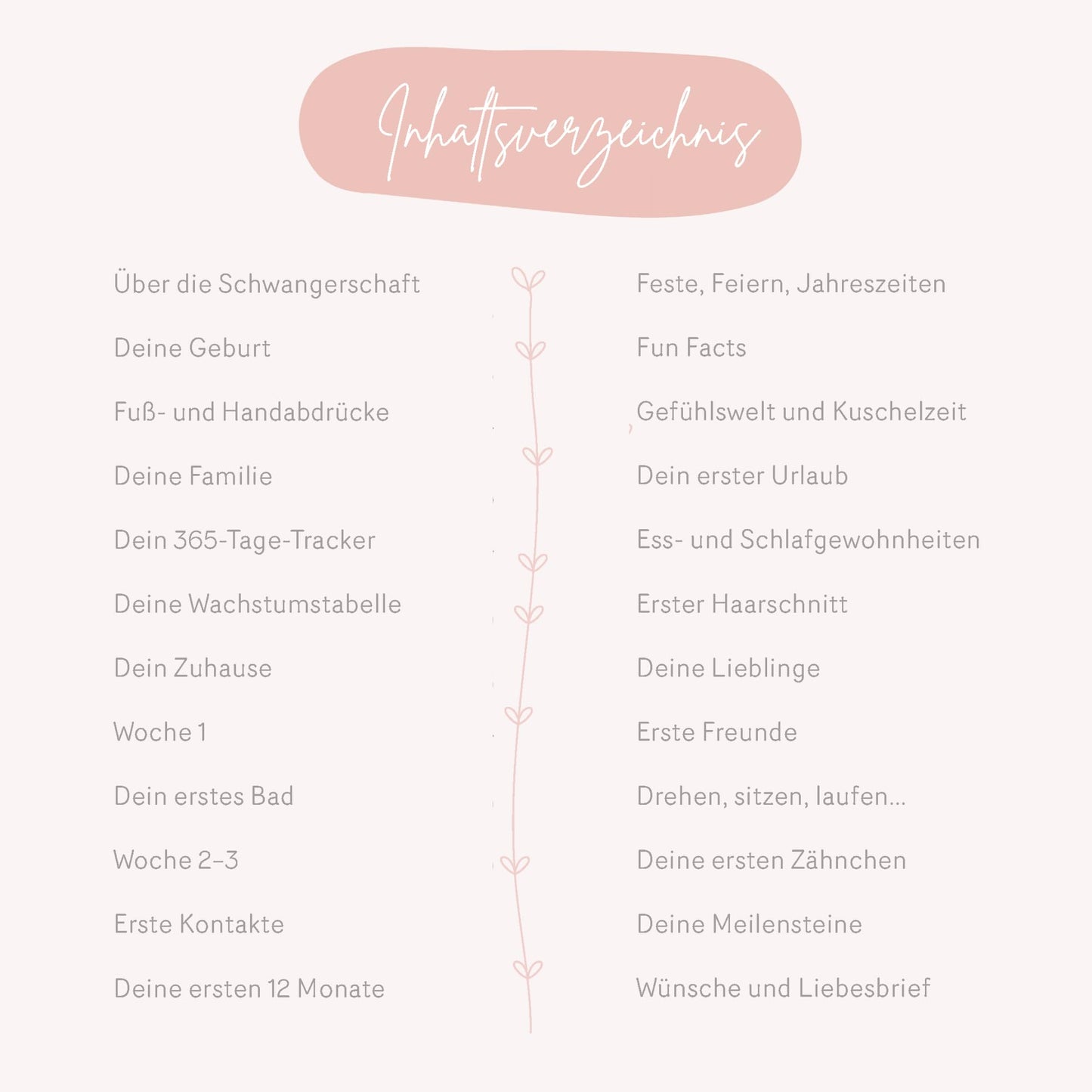 Babyalbum_Dein_erstes_Jahr_rosa